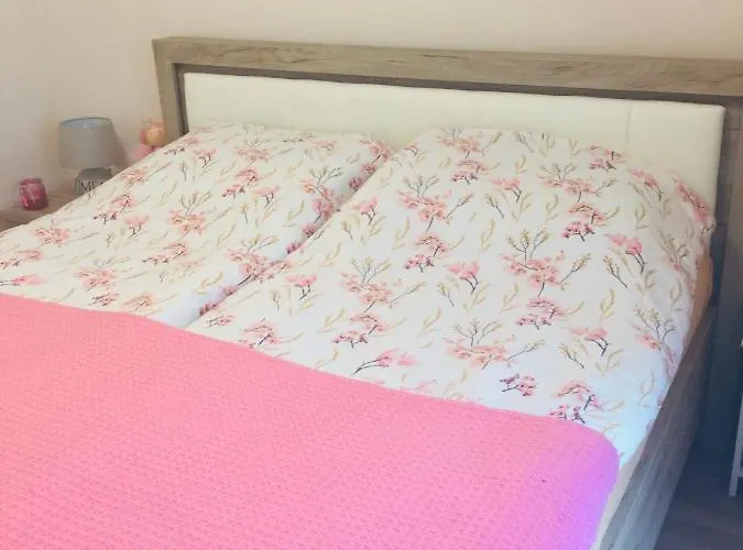 Daire франческа *